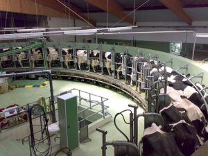 Dairy Storage